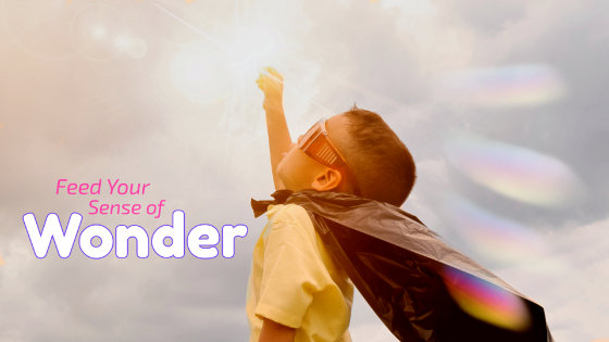 009 Feed Your Sense of Wonder