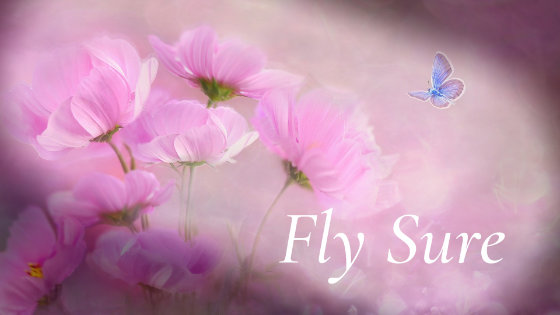 035 Fly Sure