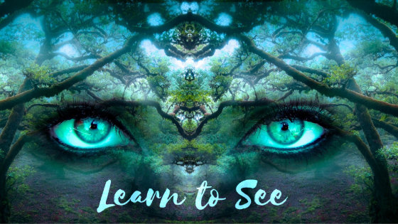 011 Learn to See