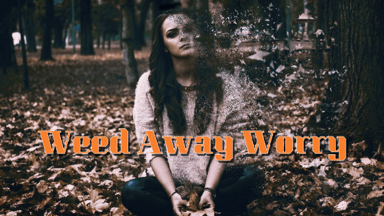 024 Weed Away Worry
