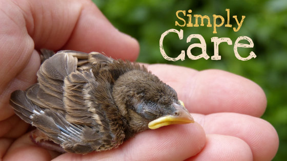 082 Simply Care