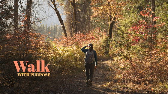 093 Walk with Purpose