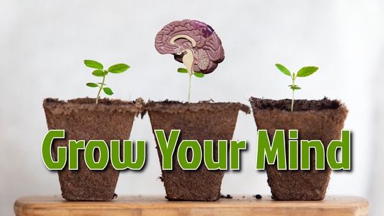 102 Grow Your Mind