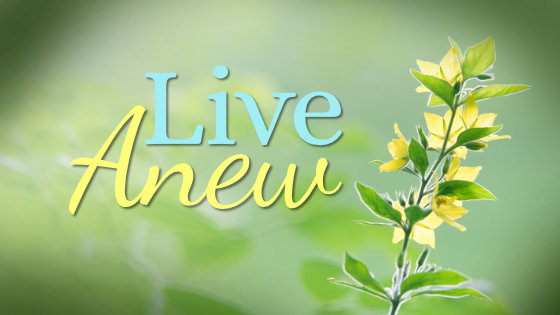175 Live Anew