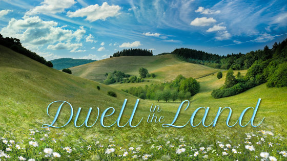 220 Dwell in the Land