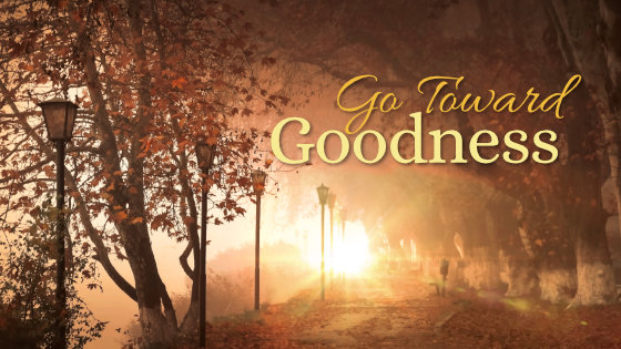 219 Go Toward Goodness