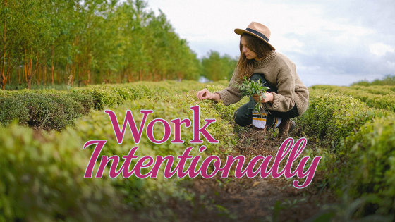 233 Work Intentionally