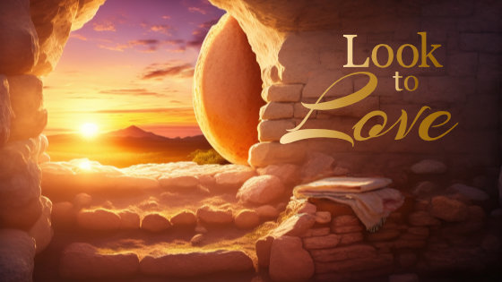 244 Look to Love