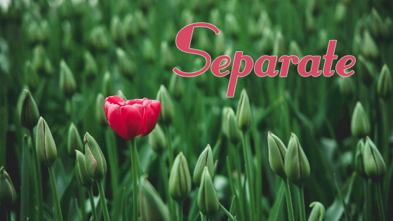 267 Separate
