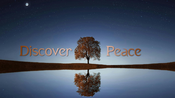 281 Discover Peace