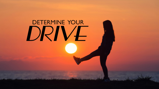289 Determine Your Drive